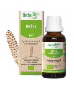 Horsetail (Equisetum arvense) bud BIO, 15 ml